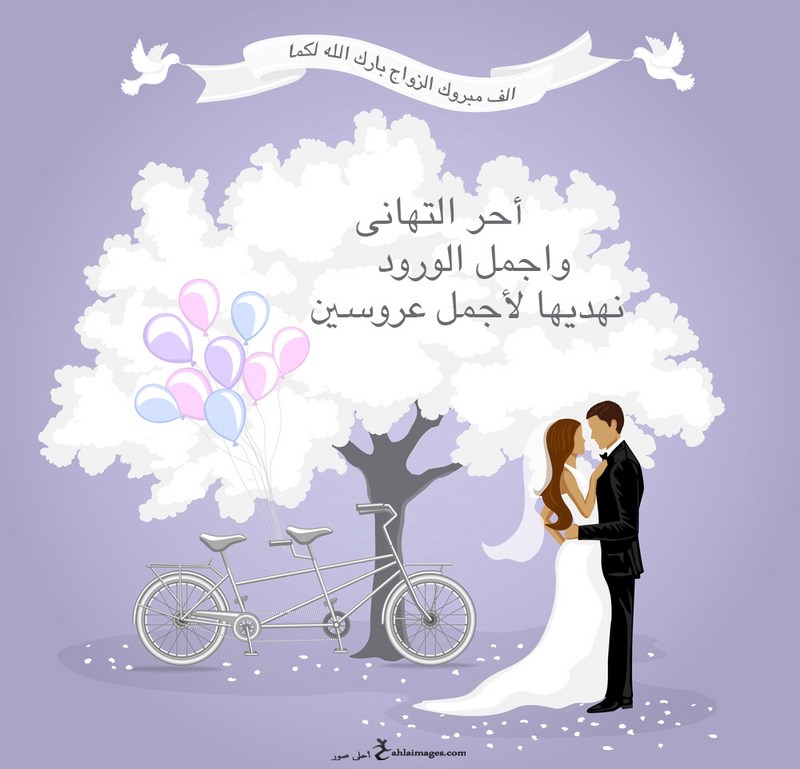 صور تهاني - اجمل التهانى للمناسبات 5059 6