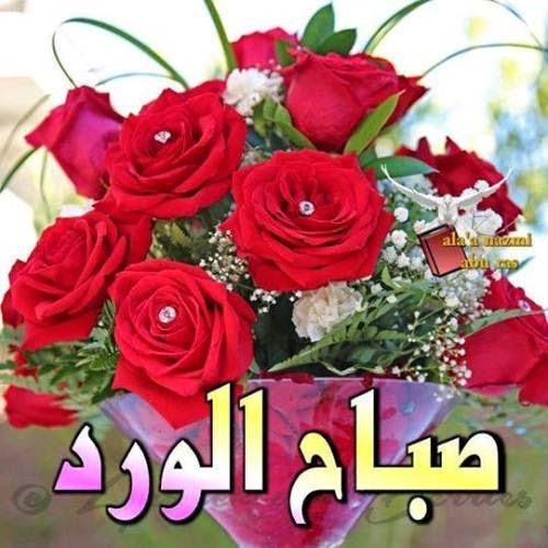 ارسلها لاصدقائك دائما - صور صباح ومساء الخير 1086 7