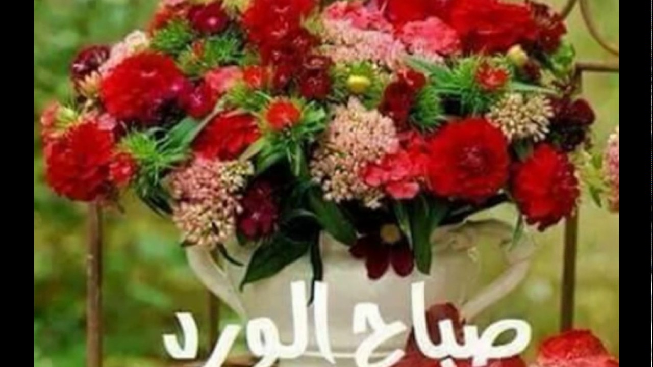 صور صباح الخير ومساء الخير 3450