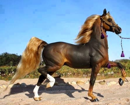 خيل اصيل - الخيل العربى 4297 4