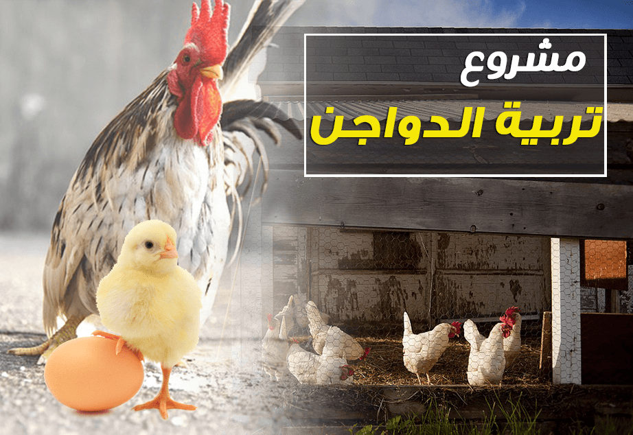 افكار مشاريع صغيرة مربحة جدا وغير مكلفة - من المشروعات المربحه 10248 2