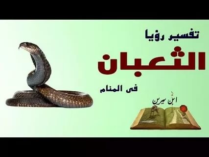 رؤية الثعبان في المنام - تفسير رؤيه الثعبان فى المنام 4533