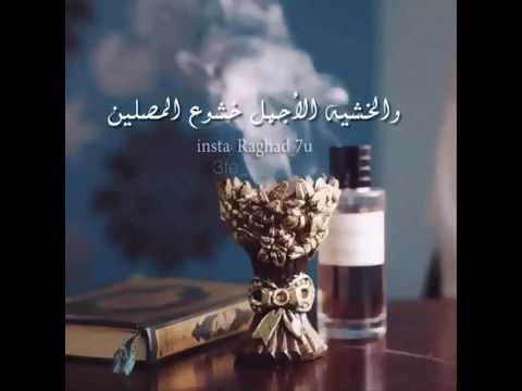 حالات واتس اب قصيره وجميله - شوفو حالات الواتس الجميله 5170 4