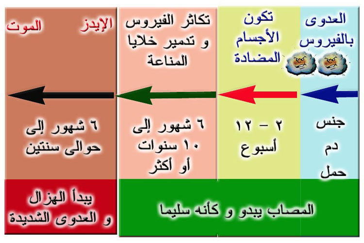 علاج مرض الايدز - ماهو واسبابه والوقاية منه 5796 7