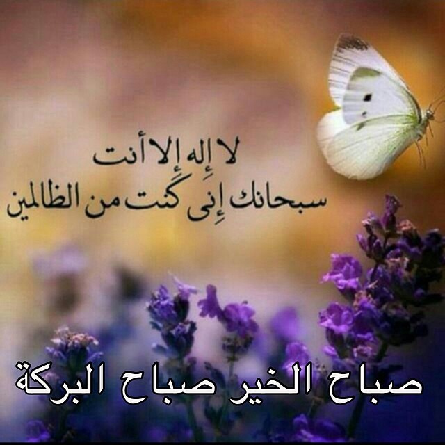 صباح البركة - احلي صور لصباح كلة بركة 2702