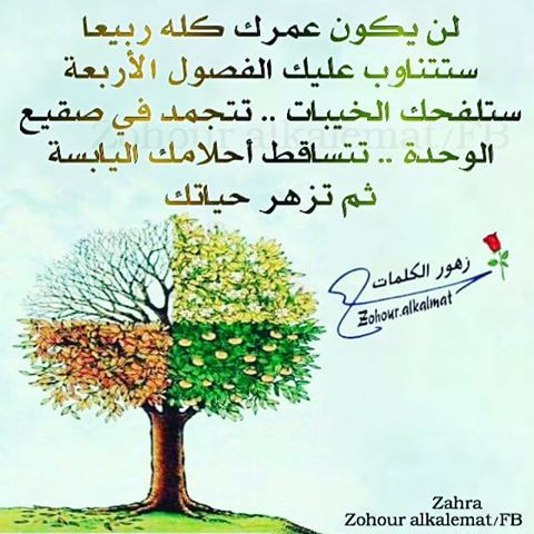 زهور الكلمات - اجمل الكلمات المعبره حقا 4841 7