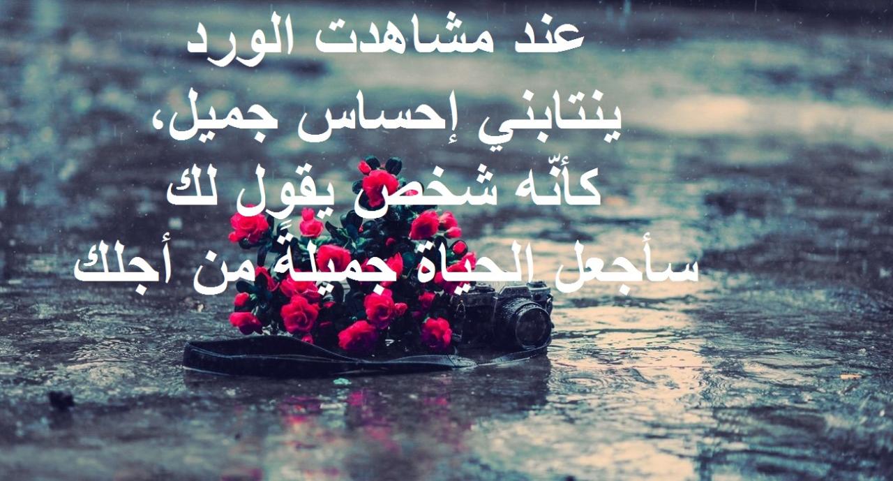 صور رومانسيه جامده 135 8