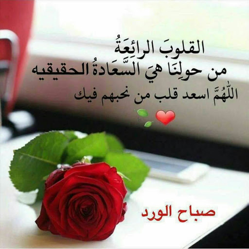 صور صباحية جميلة - اجمل الصور الصباحية 6654 7