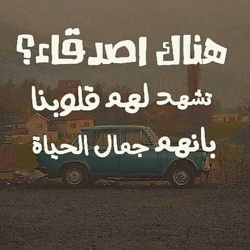 شعر عن صديق , مديح فى صديق العمر