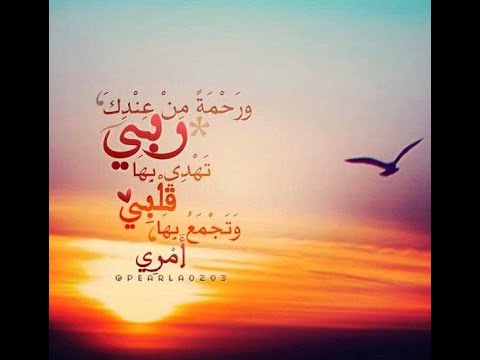 حالات واتس اب مميزه 805 8