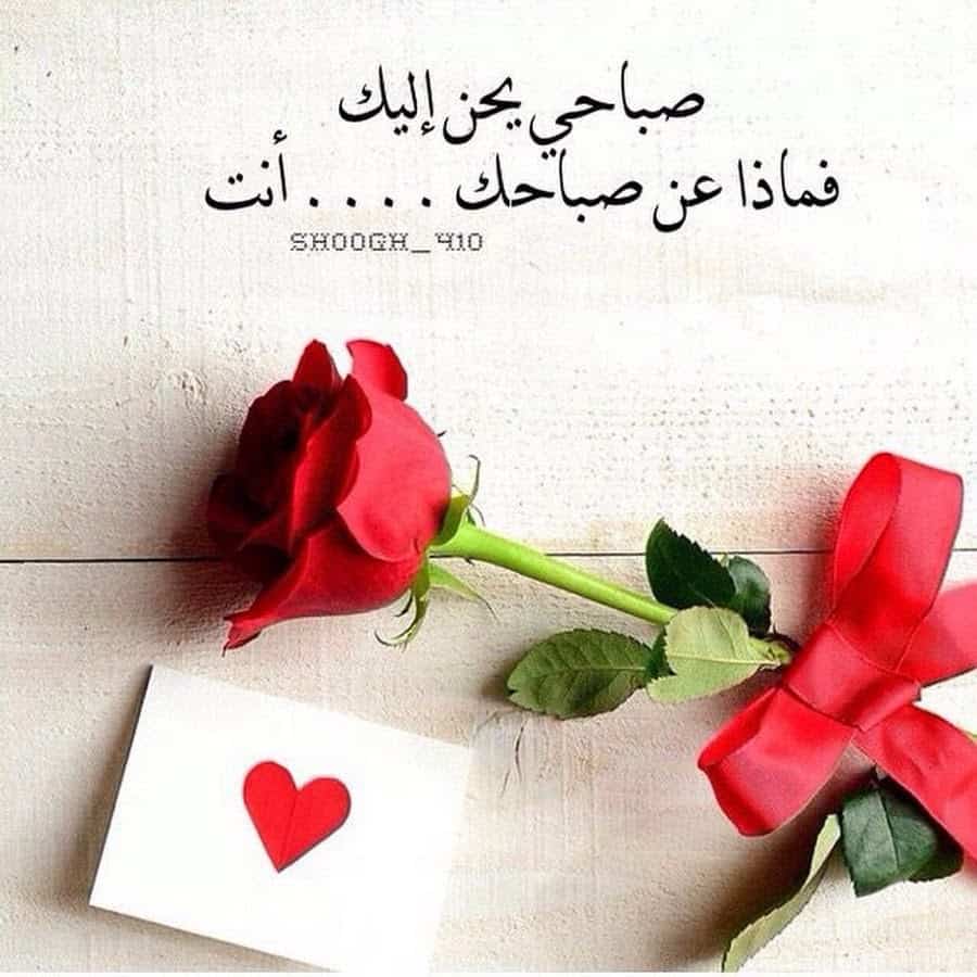 صباح الخير للحبيب بالصور 2237 12