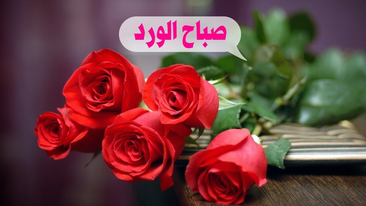 صباح الورد للورد - صور لاجمل صباح للغاليين 3003 10