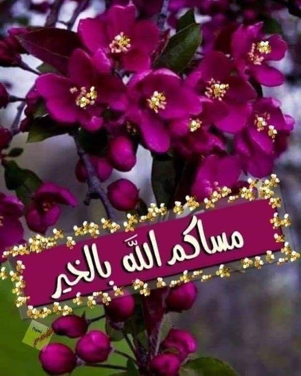 شعر مساء الخير 2374 10