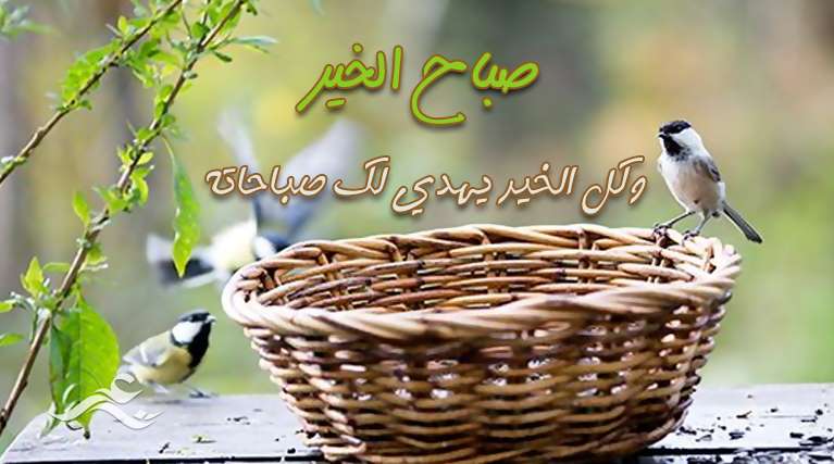 صباح الخير وكل الخير 6566