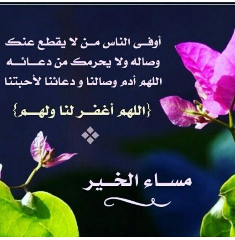 شعر مساء الخير 2374 11