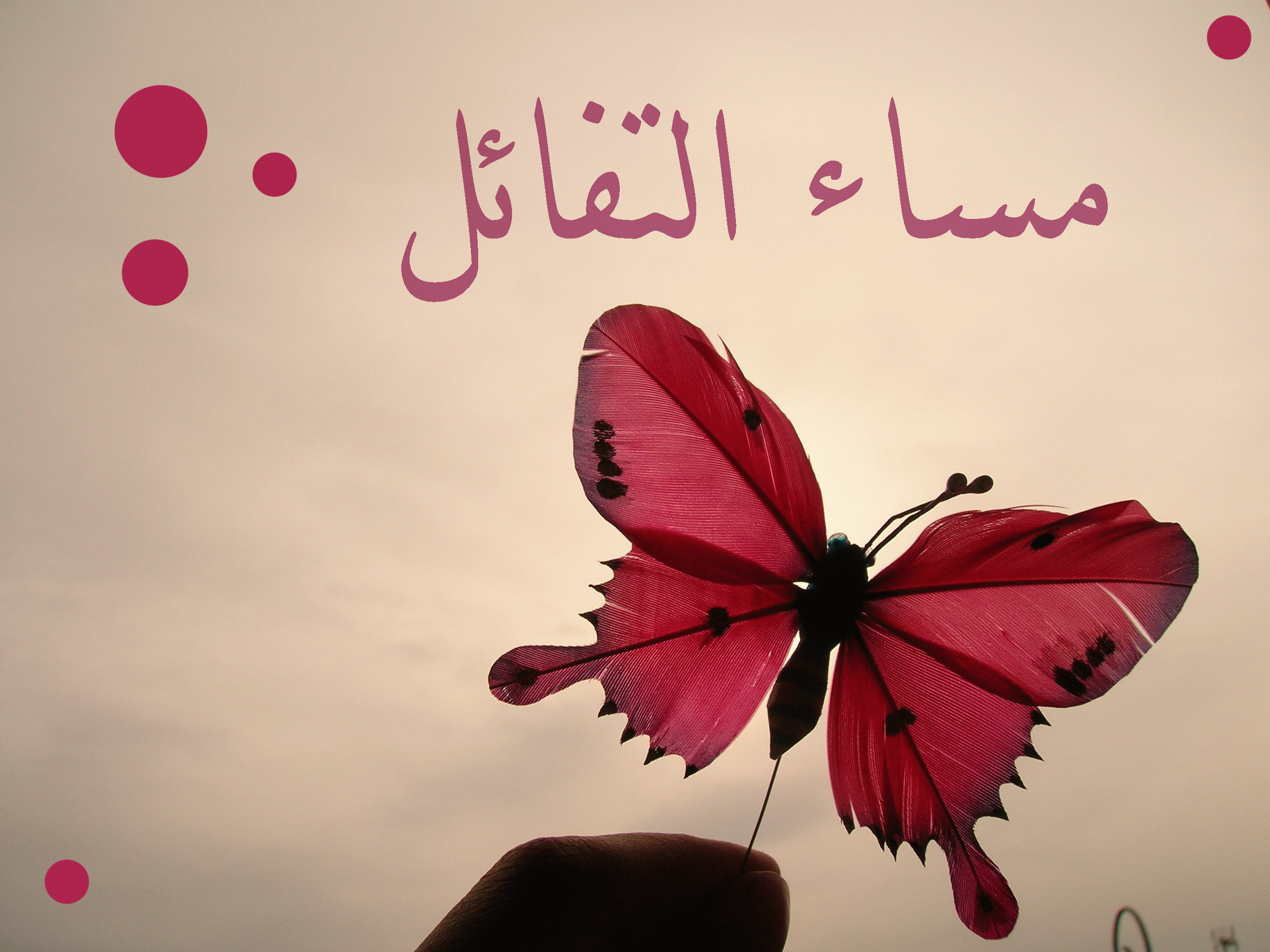 رسائل مساء - اجمل الرسائل المسائية 4169