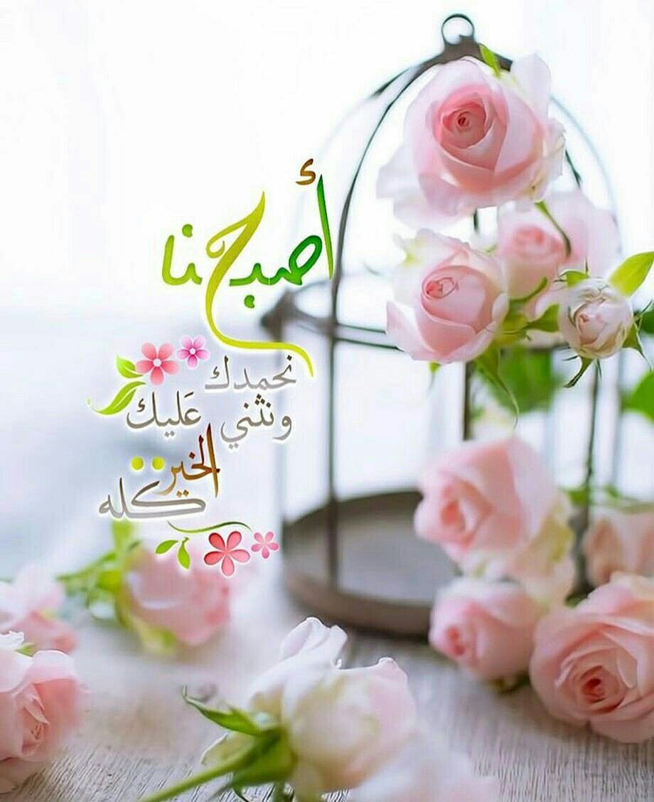 صباح الخير مع دعاء 2208 9