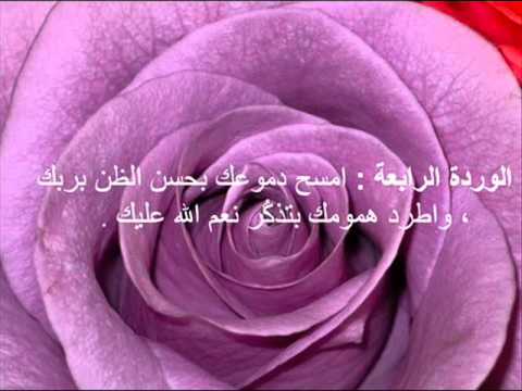 حكم عن الورد - عبارات عن الورد 4364 8