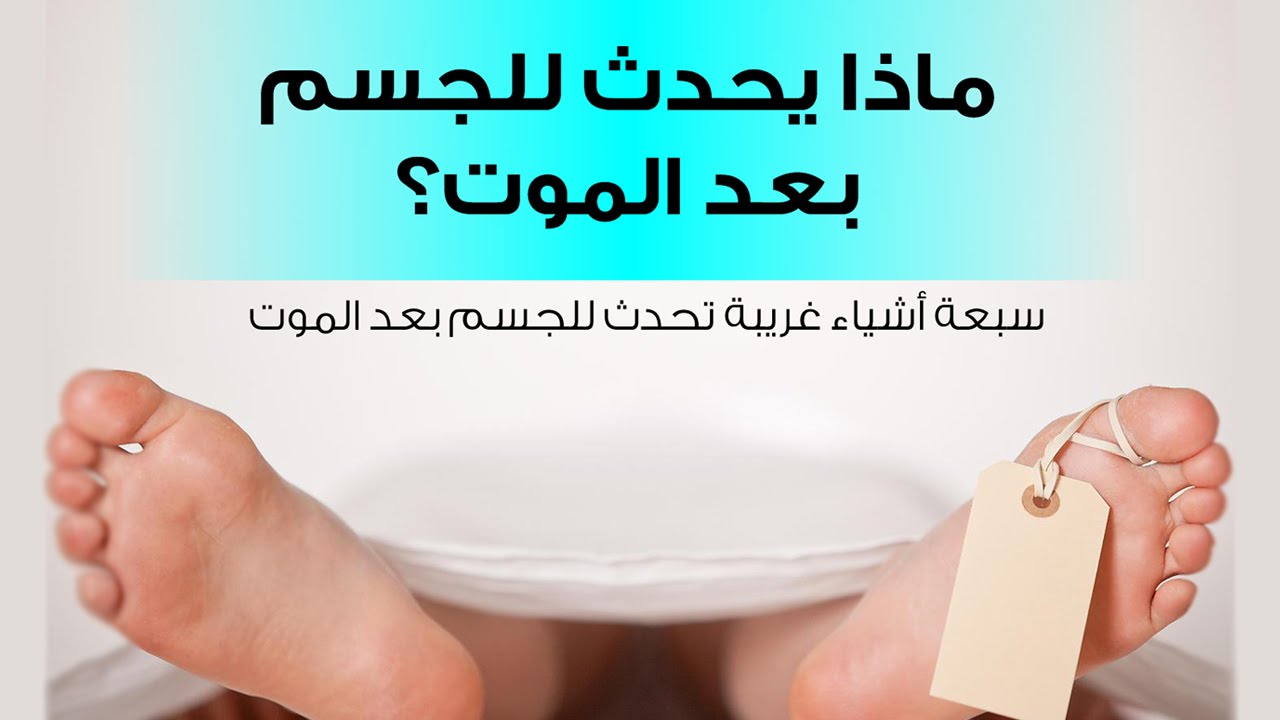 ماذا يحدث بعد الموت - لن تصدق ما يحدث لك بعد موتك 3087