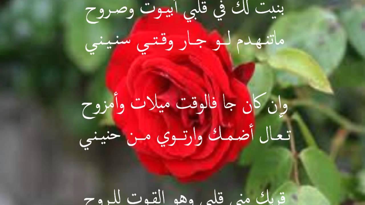 شعر عن الورد - اجمل ما قيل عن الورود 4203 8