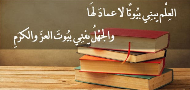 شعر عن العلم