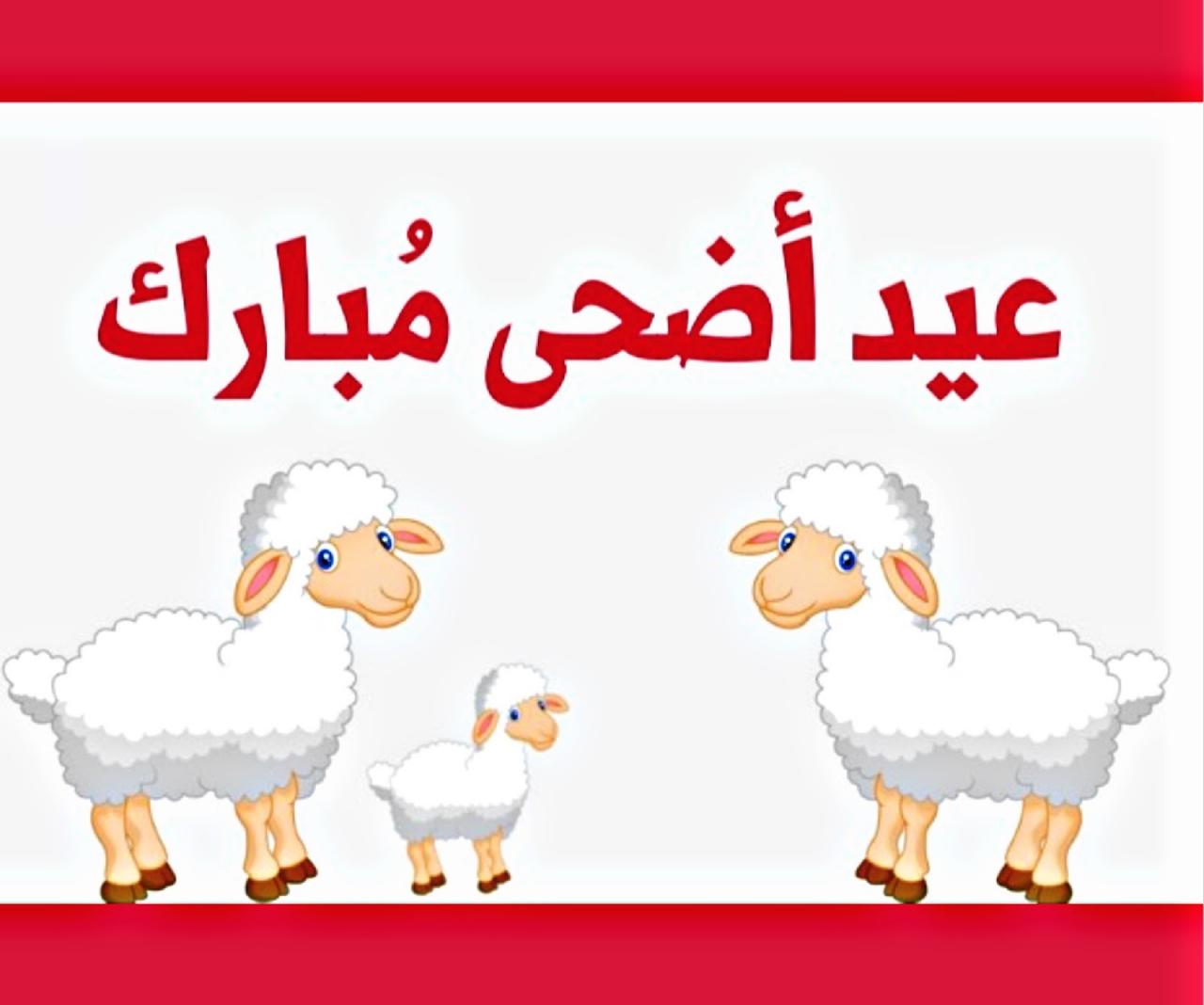 تهنئه عيد الاضحى - عبارات روعه لعيد الاضحى المبارك 10293 8