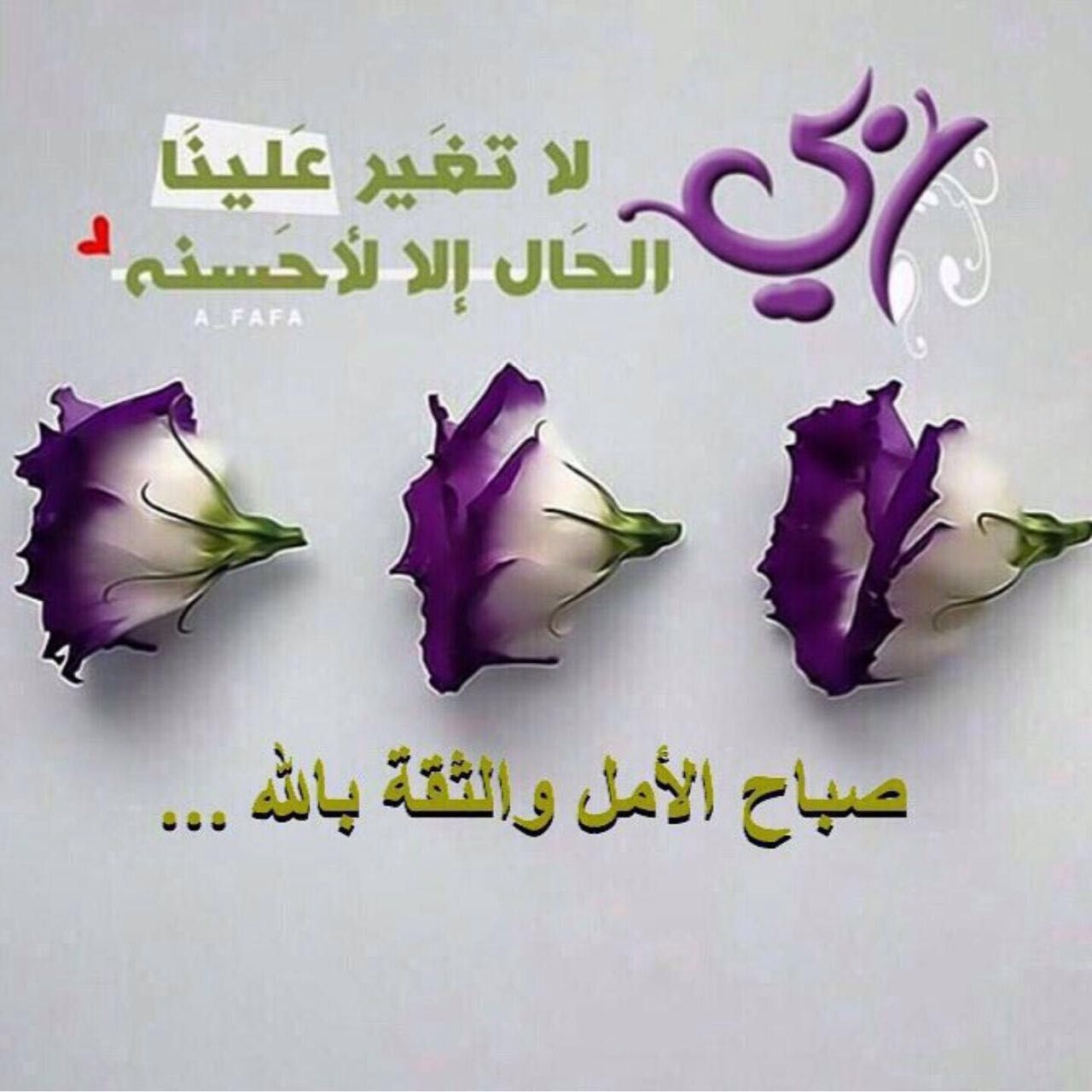 صباح الخير مع دعاء 2208 4