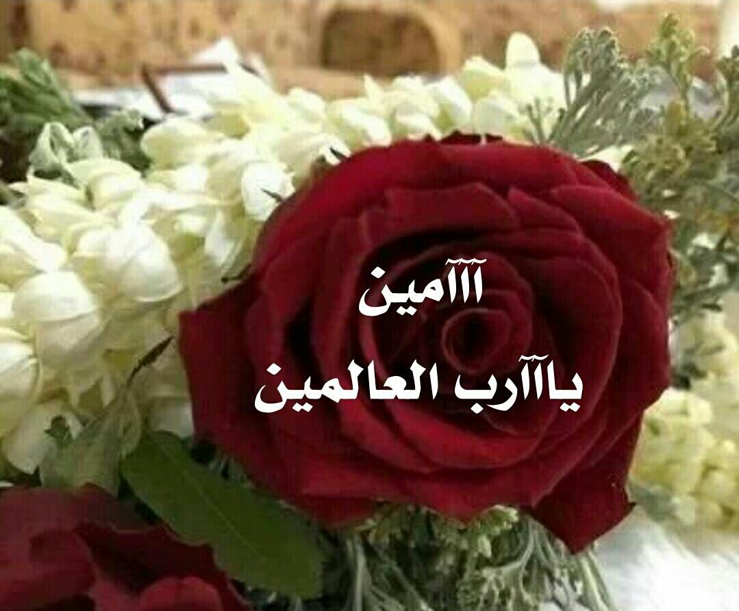 صور اللهم امين 3529 11