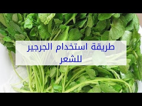 خلطة الجرجير للشعر - الجرجير غذاء وعلاج مفيد 5861 1