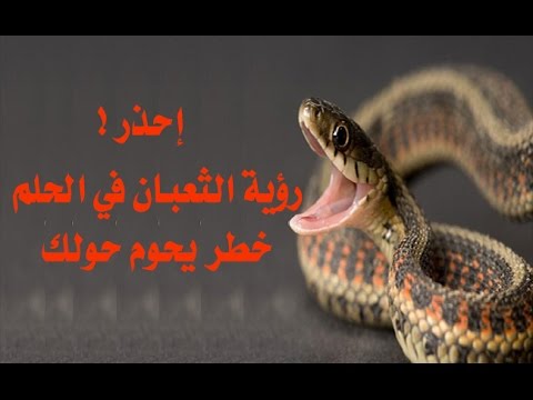 لدغة الافعى في المنام - الافعى ترمز للعدو فى الحلم 5751