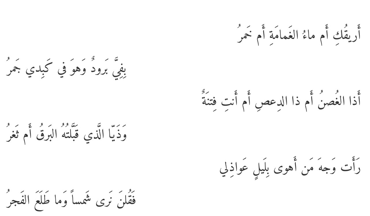 شعر المتنبي - اجمل الابيات الشعرية للمتنبي 4207 8