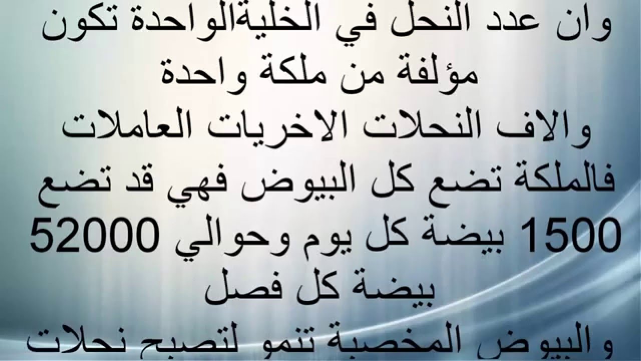 معلومات عامة مفيدة 154 2