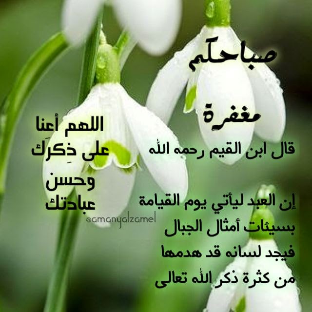 صور للصباح - اجمل صور لاجمل صباح 2137 4