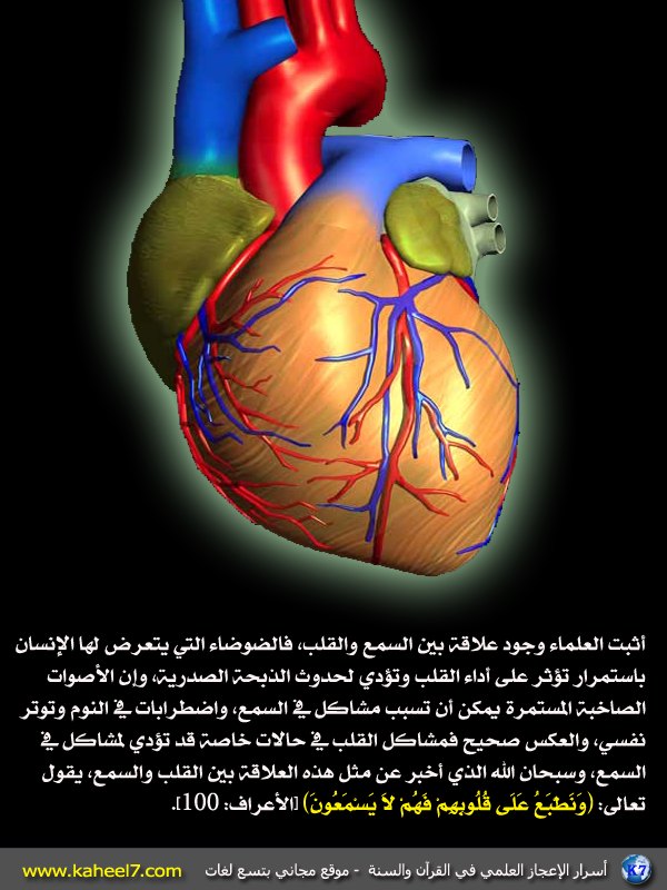 صور علمية - تشكيلة من الصور العلمية الحقيقية 2049 3