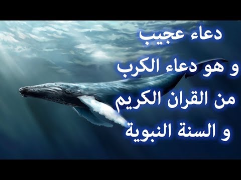 دعاء سيدنا يونس - دعاء نجاة سيدنا يونس من بطن الحوت 401 6