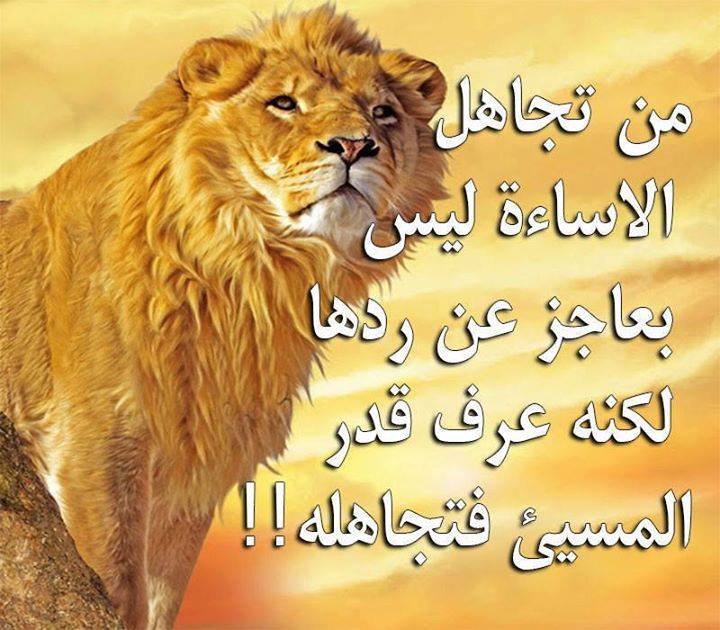 حكم من ذهب 2573 2