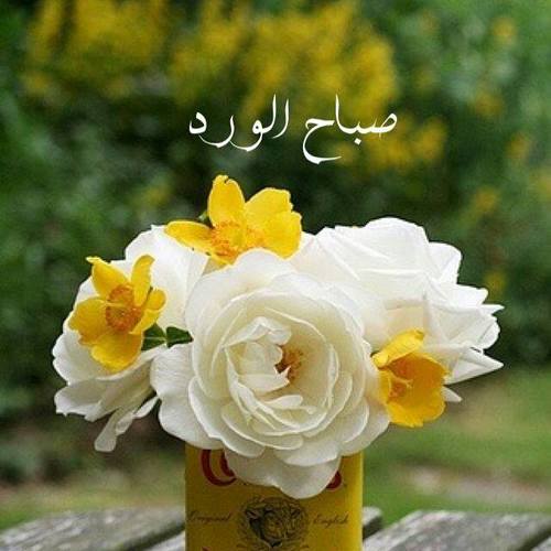 صباح الخير 2019 - احدث صور صباح الخير 5991 2