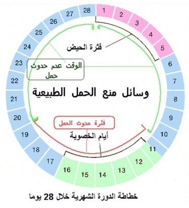 متى تكون ايام التبويض - ايام التبويض و طريقة حسابها 4564 1