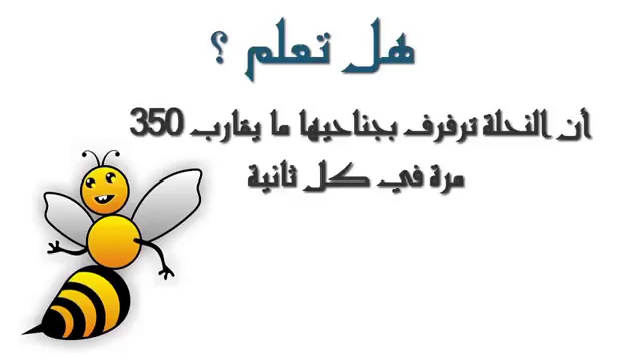 هل تعلم عن العلم 3716 6