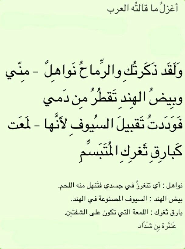 شعر عنترة بن شداد - تعرف على عنترة بن شداد وشعره الجميل 10728 5