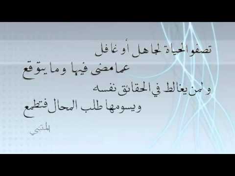 شعر الحكمة 2528