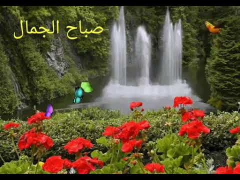 صباح الجمال - صباح الخير 4302 7