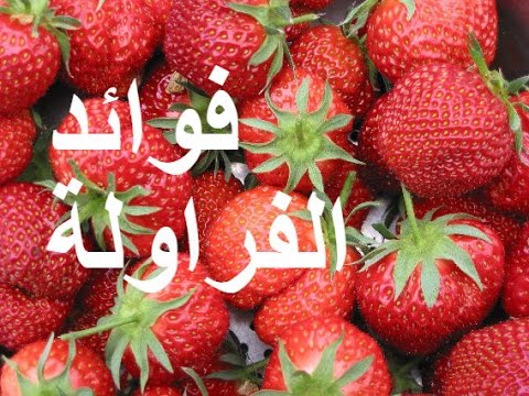 فوائد الفراولة - فائدة الفراولة للصحة والبشرة 2708 2