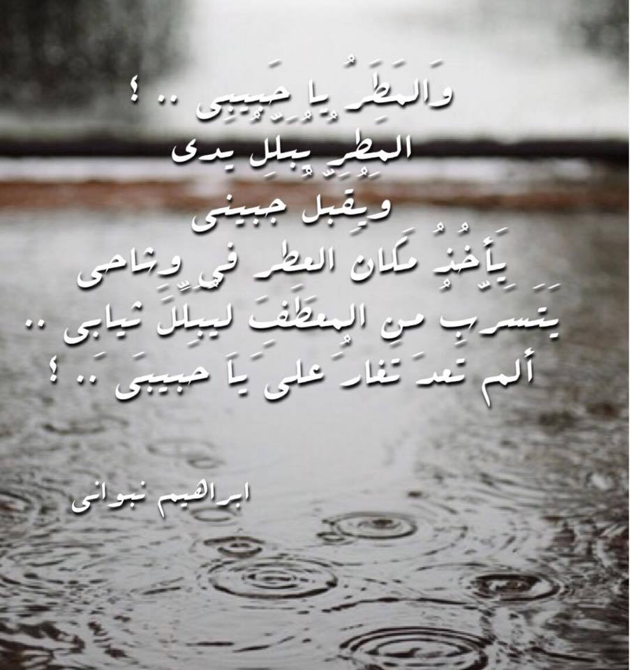 شعر عن المطر 3629 7