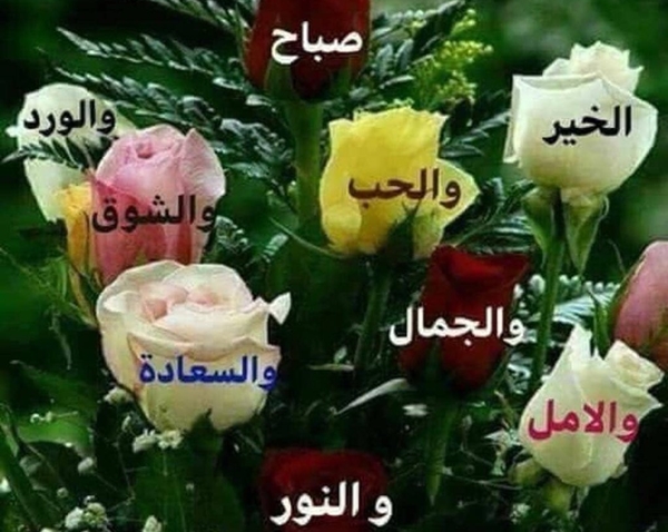 صور صباح الحب - يوم جديد مع صوره صباحيه احلى اكيد 1337 1