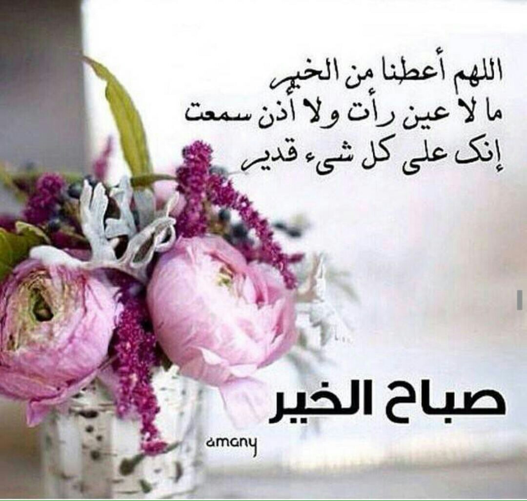 صباح الخير للحبيب بالصور 2237 1