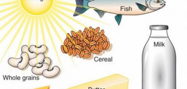 اين يوجد فيتامين د - فيتامين د واهميته والغذاء الخاص به 2009 4