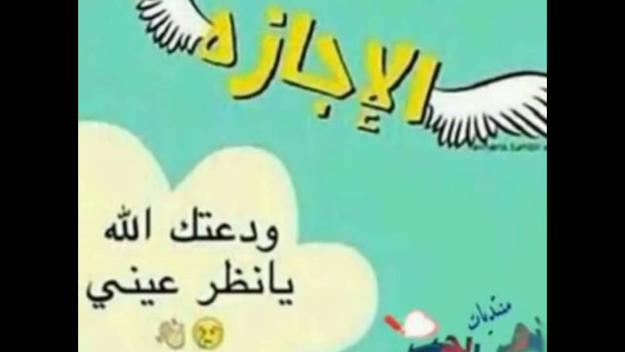 صور عن الدراسة 2261 9