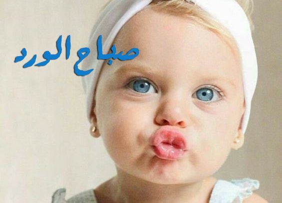 صباح البركة - احلي صور لصباح كلة بركة 2702 10