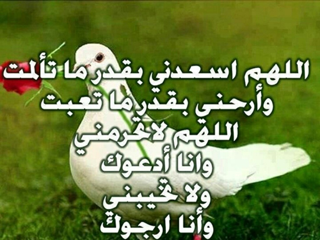 تحميل ادعية - اجمل الادعيه الدينية 4333 9